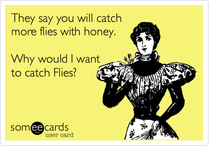 catch flies